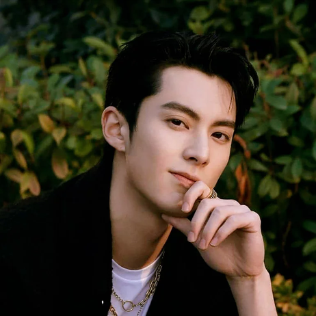 Dylan Wang 王鹤棣